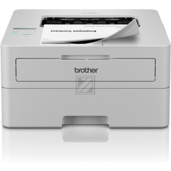 BROTHER HL-L2865DW Drucker mono A4 WLAN Duplex