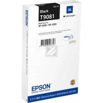 Epson Tinte schwarz T9081