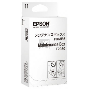 EPSON Maintenance Box Workforce WF-100W