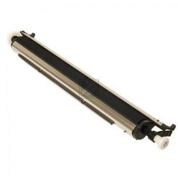 Kon/Min Transfer-Rolle Bizhub C 451